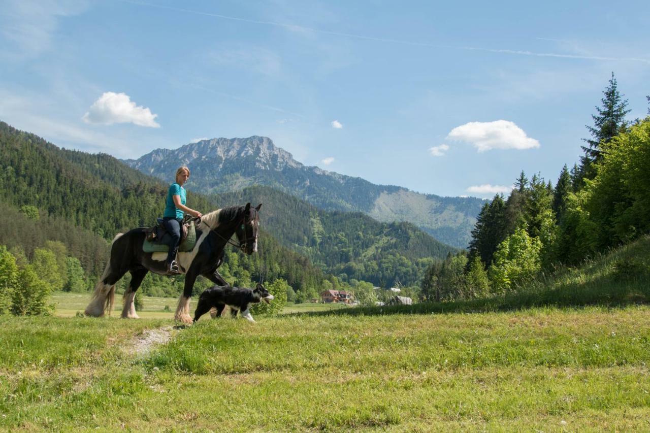 Reiterbauernhof Maho Villa Sankt Aegyd am Neuwalde Esterno foto