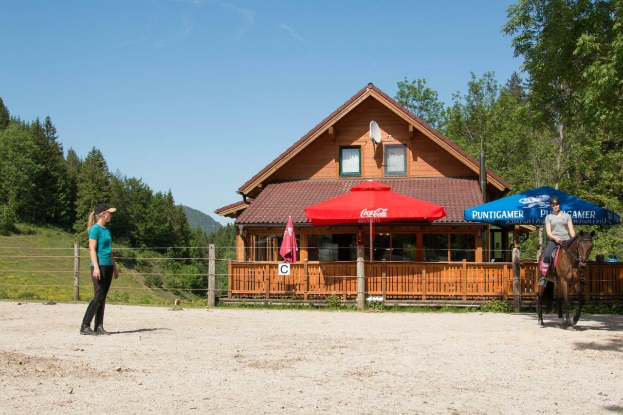 Reiterbauernhof Maho Villa Sankt Aegyd am Neuwalde Esterno foto