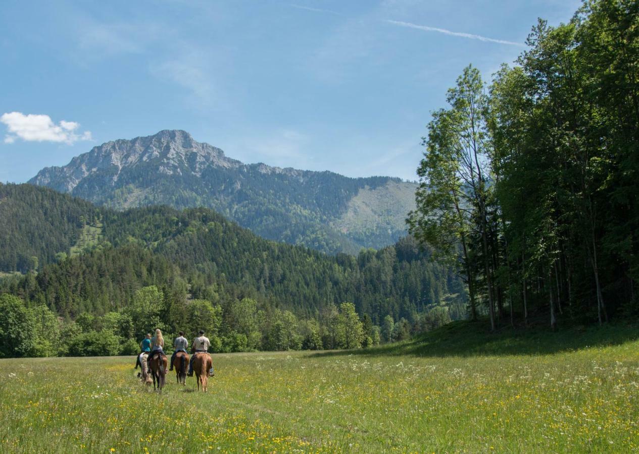 Reiterbauernhof Maho Villa Sankt Aegyd am Neuwalde Esterno foto