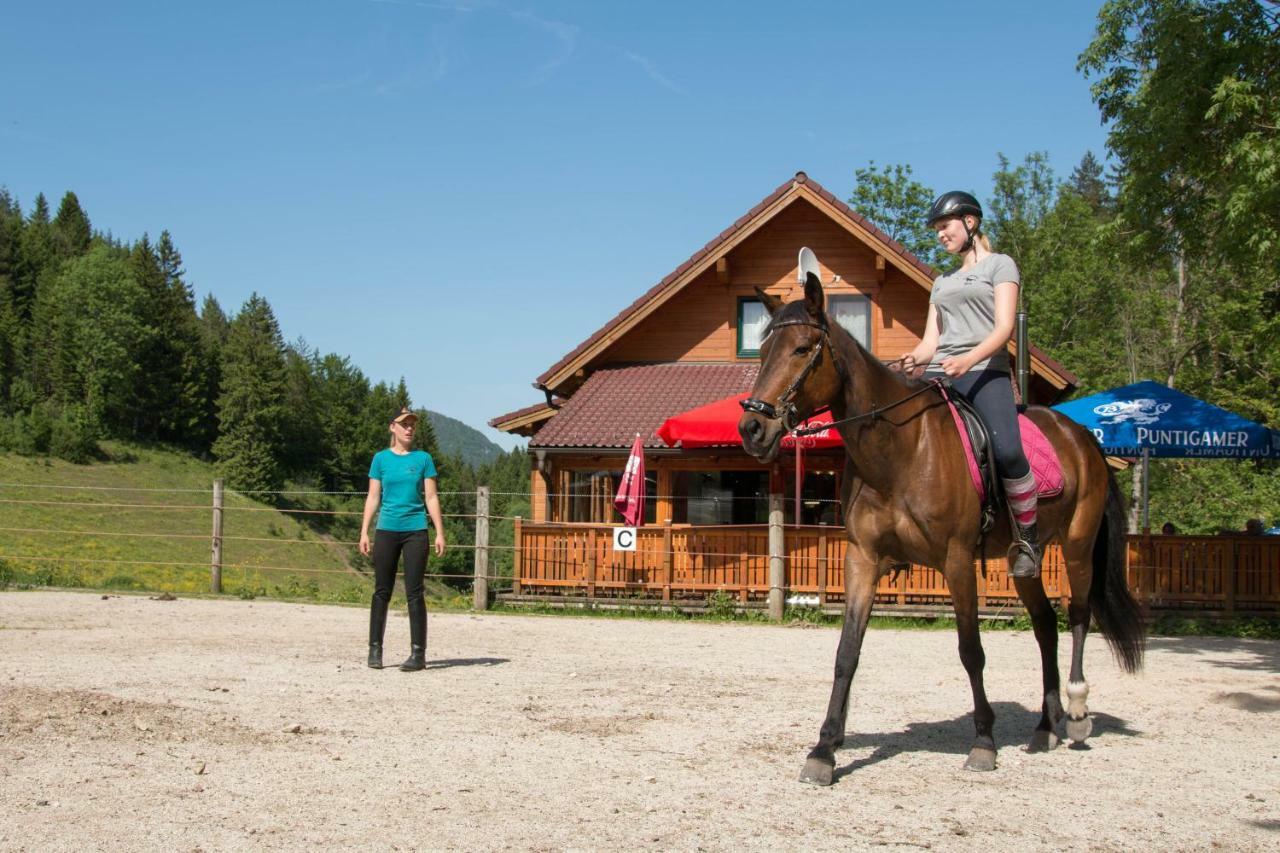 Reiterbauernhof Maho Villa Sankt Aegyd am Neuwalde Esterno foto